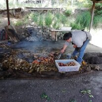 IMG_20191120_141005 20/11/2019 - Vous connaissez le Curando ? C'est un mode de cuisson hérité des Mapuches où les aliments sont enterrés pêle-mêle avec des feuilles. This is a...